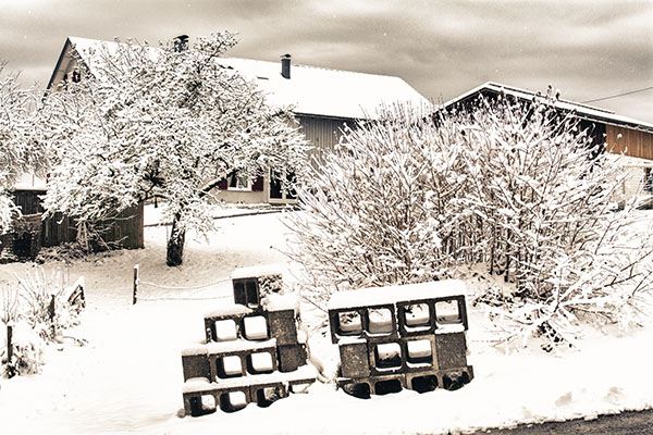 WinterWonderLand