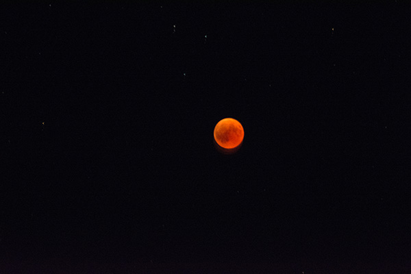 Bild Blutmond - Mondfinsternis