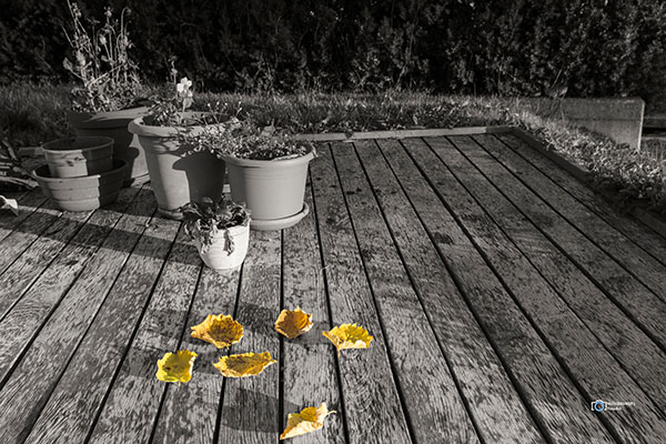 "Herbststimmung